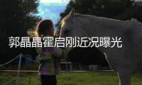 “郭晶晶霍启刚近况曝光 牵手看电影甜蜜如热恋